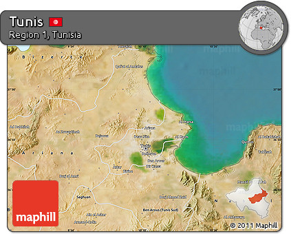 Satellite Map of Tunis