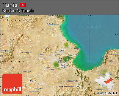Satellite Map of Tunis