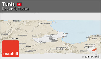 Classic Style Panoramic Map of Tunis