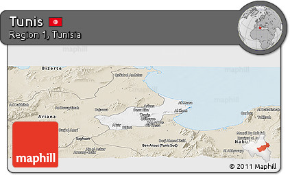 Classic Style Panoramic Map of Tunis