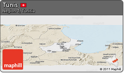 Classic Style Panoramic Map of Tunis