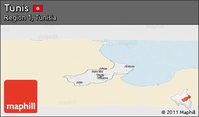 Classic Style Panoramic Map of Tunis, single color outside