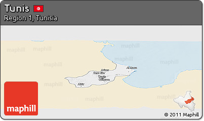Classic Style Panoramic Map of Tunis, single color outside