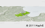 Physical Panoramic Map of Tunis, lighten, semi-desaturated