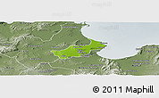 Physical Panoramic Map of Tunis, semi-desaturated