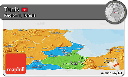 Political Panoramic Map of Tunis