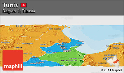 Political Panoramic Map of Tunis