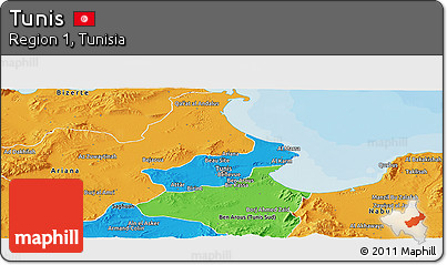 Political Panoramic Map of Tunis