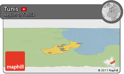 Savanna Style Panoramic Map of Tunis, single color outside