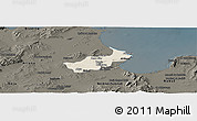 Shaded Relief Panoramic Map of Tunis, darken