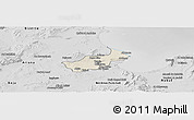 Shaded Relief Panoramic Map of Tunis, desaturated
