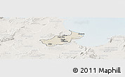 Shaded Relief Panoramic Map of Tunis, lighten