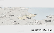 Shaded Relief Panoramic Map of Tunis, semi-desaturated