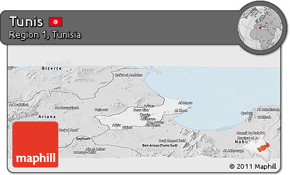 Silver Style Panoramic Map of Tunis