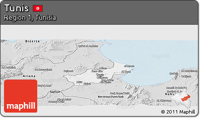 Silver Style Panoramic Map of Tunis