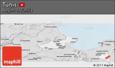 Silver Style Panoramic Map of Tunis