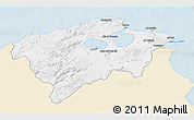 Classic Style 3D Map of Bizerte, single color outside