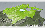 Physical 3D Map of Bizerte, darken, semi-desaturated
