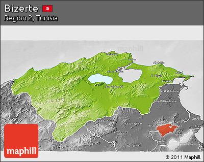 Physical 3D Map of Bizerte, desaturated