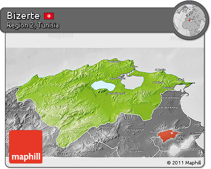 Physical 3D Map of Bizerte, desaturated