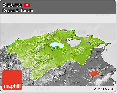 Physical 3D Map of Bizerte, desaturated