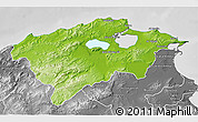 Physical 3D Map of Bizerte, desaturated