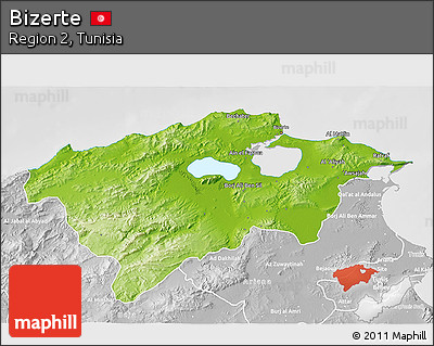 Physical 3D Map of Bizerte, lighten, desaturated