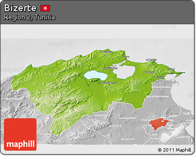 Physical 3D Map of Bizerte, lighten, desaturated