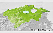 Physical 3D Map of Bizerte, lighten, desaturated