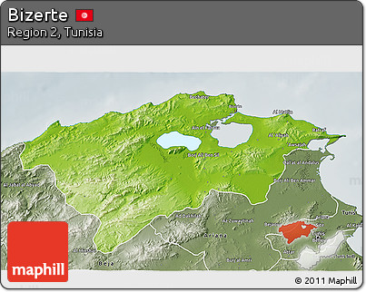 Physical 3D Map of Bizerte, semi-desaturated