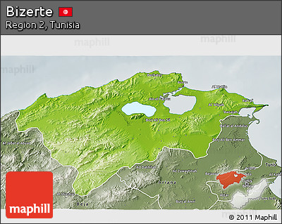 Physical 3D Map of Bizerte, semi-desaturated