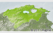 Physical 3D Map of Bizerte, semi-desaturated