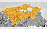 Political 3D Map of Bizerte, desaturated