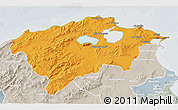 Political 3D Map of Bizerte, lighten, semi-desaturated
