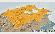 Political 3D Map of Bizerte, semi-desaturated