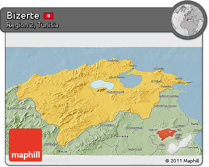 Savanna Style 3D Map of Bizerte