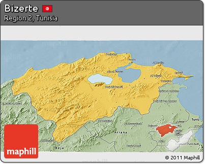 Savanna Style 3D Map of Bizerte