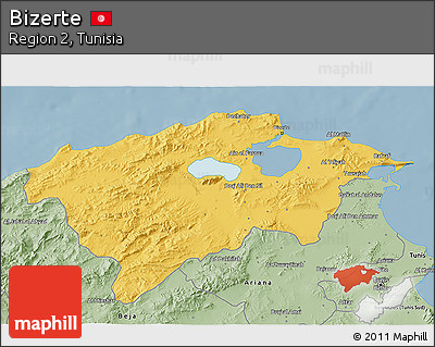 Savanna Style 3D Map of Bizerte