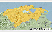 Savanna Style 3D Map of Bizerte