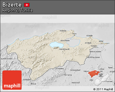 Shaded Relief 3D Map of Bizerte, desaturated