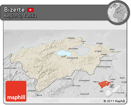 Shaded Relief 3D Map of Bizerte, desaturated