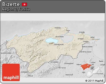 Shaded Relief 3D Map of Bizerte, desaturated
