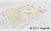 Shaded Relief 3D Map of Bizerte, lighten, desaturated