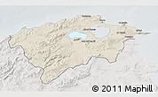 Shaded Relief 3D Map of Bizerte, lighten, semi-desaturated