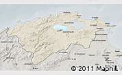 Shaded Relief 3D Map of Bizerte, semi-desaturated