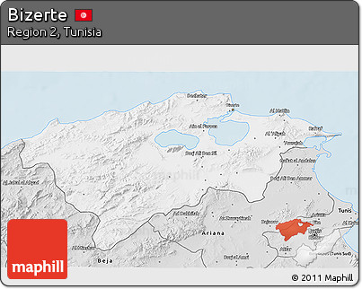 Silver Style 3D Map of Bizerte