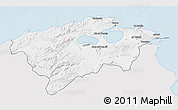 Silver Style 3D Map of Bizerte, single color outside