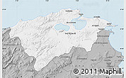 Gray Map of Bizerte