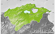 Physical Map of Bizerte, desaturated
