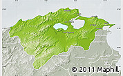 Physical Map of Bizerte, lighten, semi-desaturated